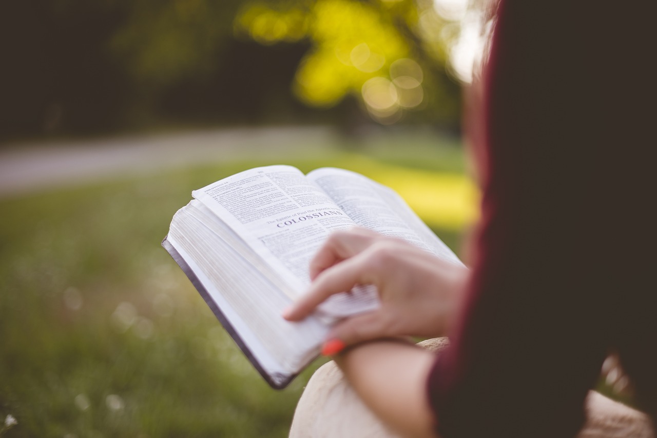 A Girl Reading a Book